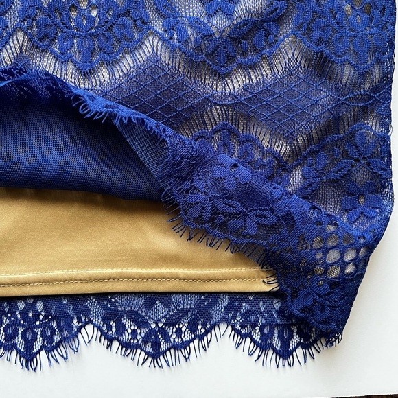 Tadashi Shoji Chantilly Boatneck Lace blue sheath dress - Picture 10 of 10